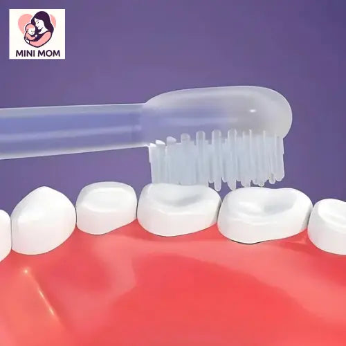 Transparent children's toothbrush with bristles on a dental model against a purple background