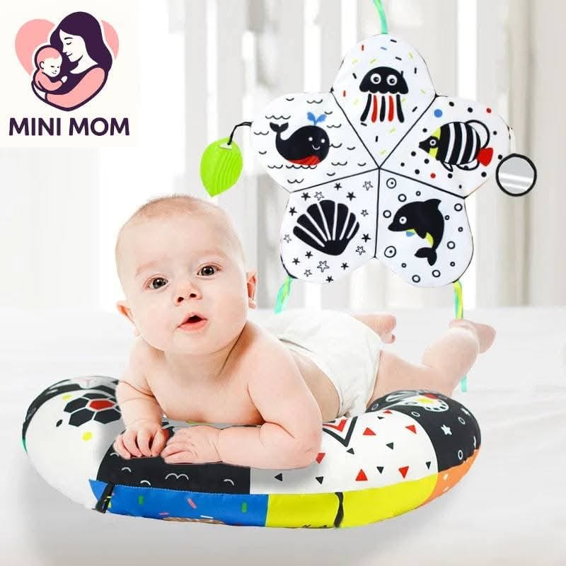 Baby Tummy Time Pillow with Mirror, Crinkle & Teether Toys -Sensory Play Mat for Newborns 0-12 Months